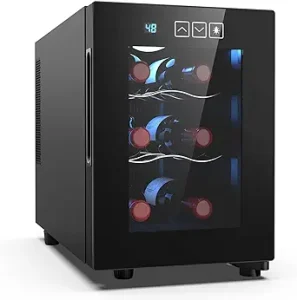 Mojgar 6 Bottle Wine Cooler