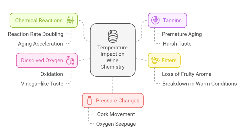 Science Behind Temperature's Effect on Wine in the theme wine temperature fluctuations 